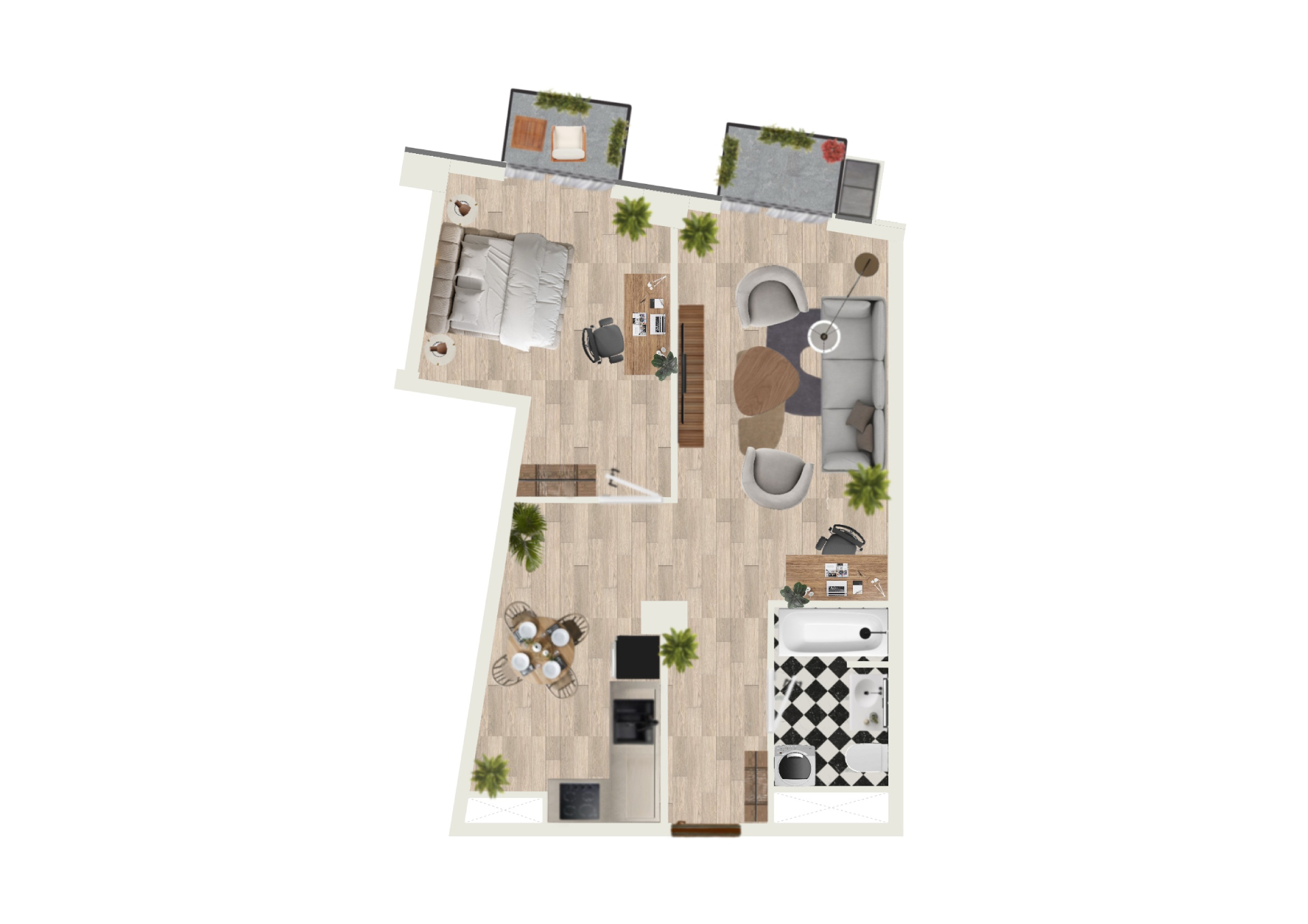 2D Image